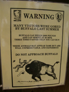 Buffalo are Dangerous